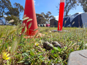 Eco Friendly Eudunda Caravan Park protecting the Lap Wing Plover Eggs