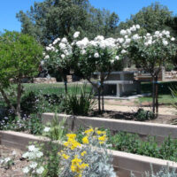 ECBAT Committee Meeting Wednesday 7th January 2026