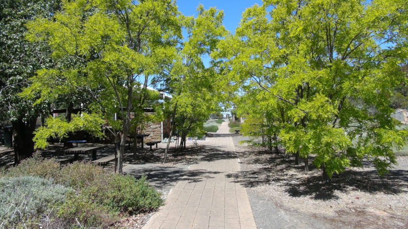 Eudunda Gardens - Beautiful colours for tree lined Appelt Lane 2017