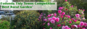 Eudunda Tidy Towns Competition - Best Rural Garden