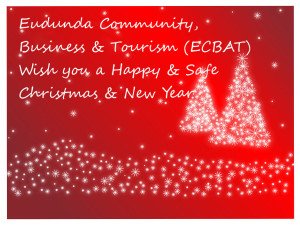 Red Merry Christmas Message from ECBAT